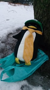 16932057026_159b2a5a30_o